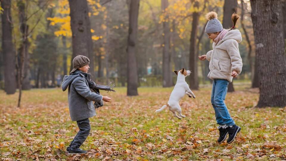 حرکات هماهنگ یا تقلیدی