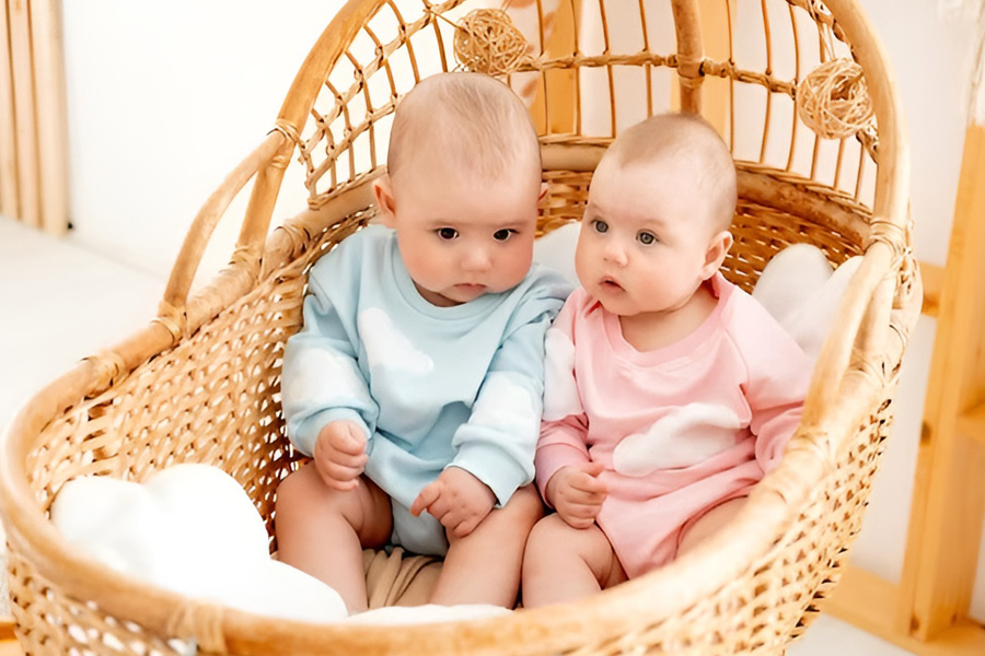 ژست عکس نوزاد دوقلو داخل سبد حصیری