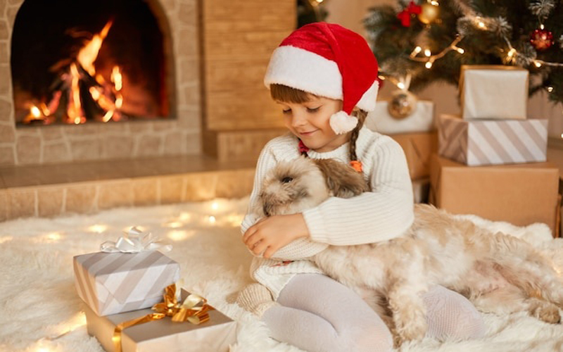 ایده عکس کریسمس کودک